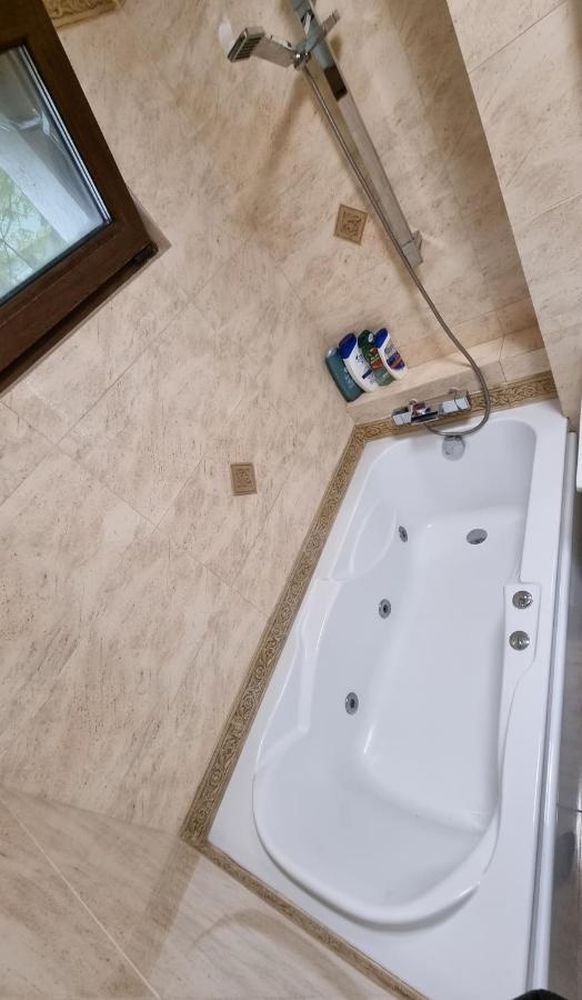 Stone Bridge Apartment 이아시 외부 사진
